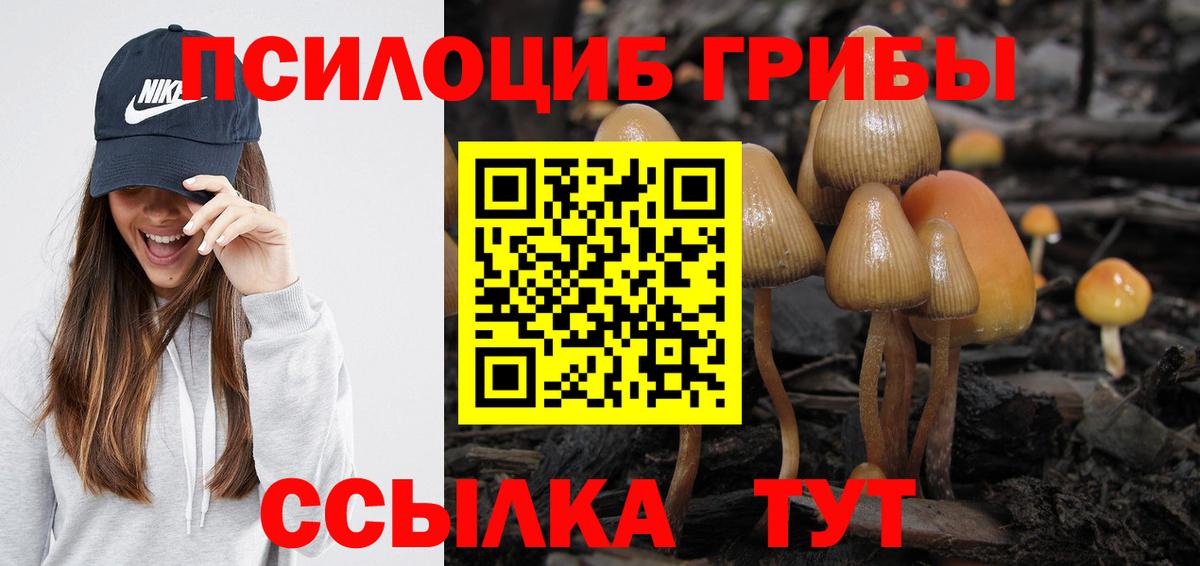 Псилоцибиновые грибы MAGIC MUSHROOMS Ростов Великий