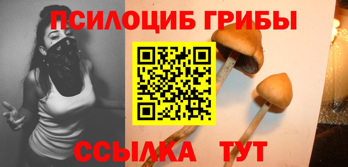 где найти наркотики  Вход с VPN  Ростов Великий  Галлюциногенные грибы Psilocybine cubensis 